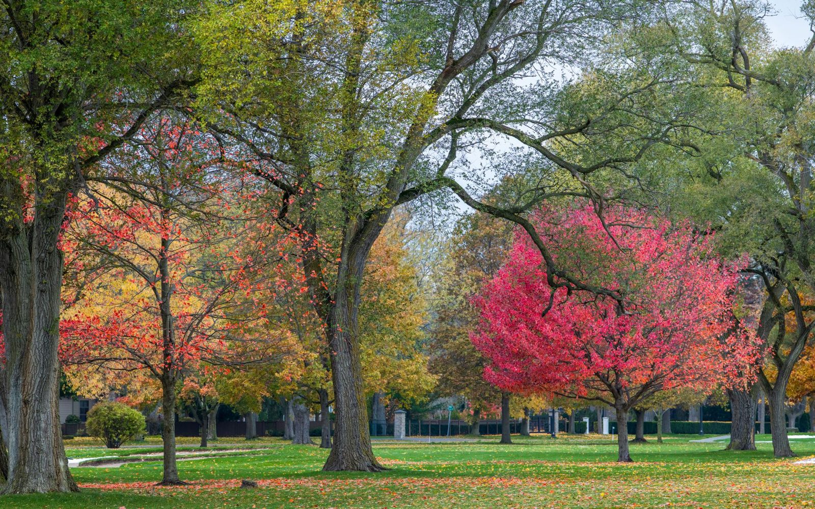 A park with autumn trees near Sacramento