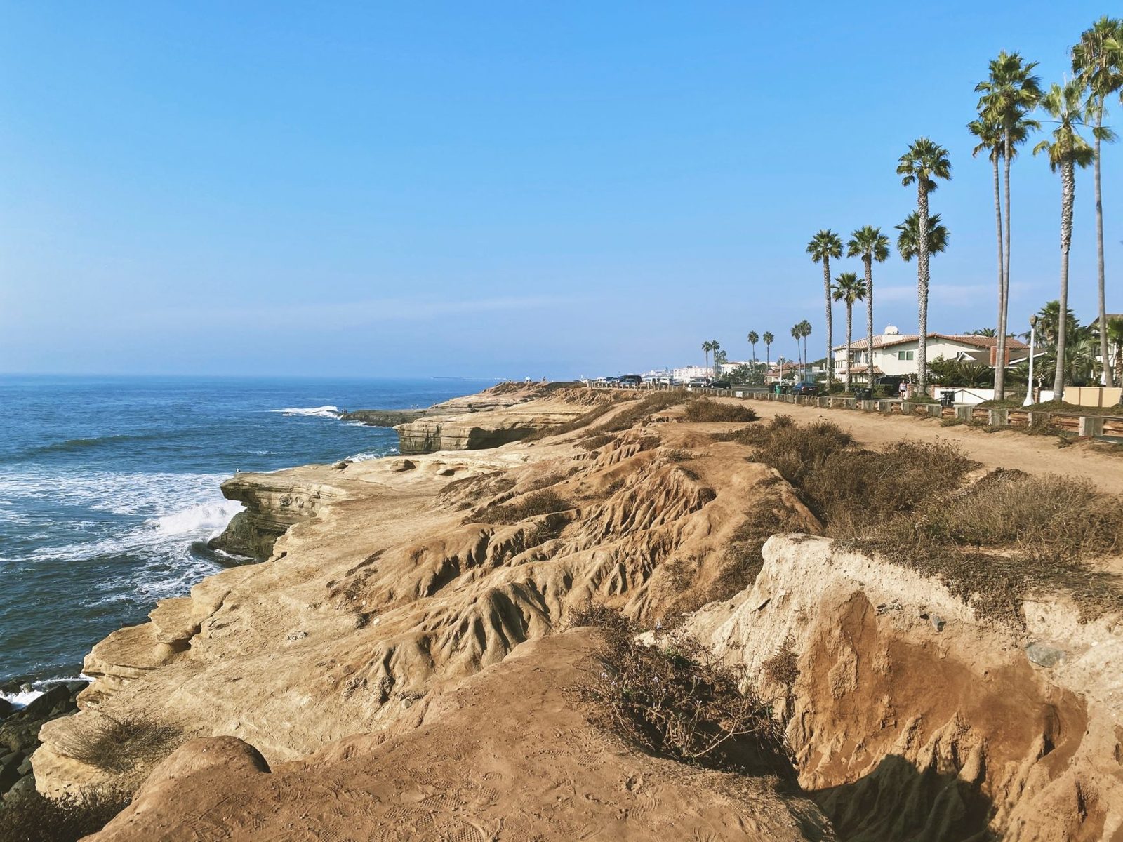 Sandstone cliffs and palms along Point Loma