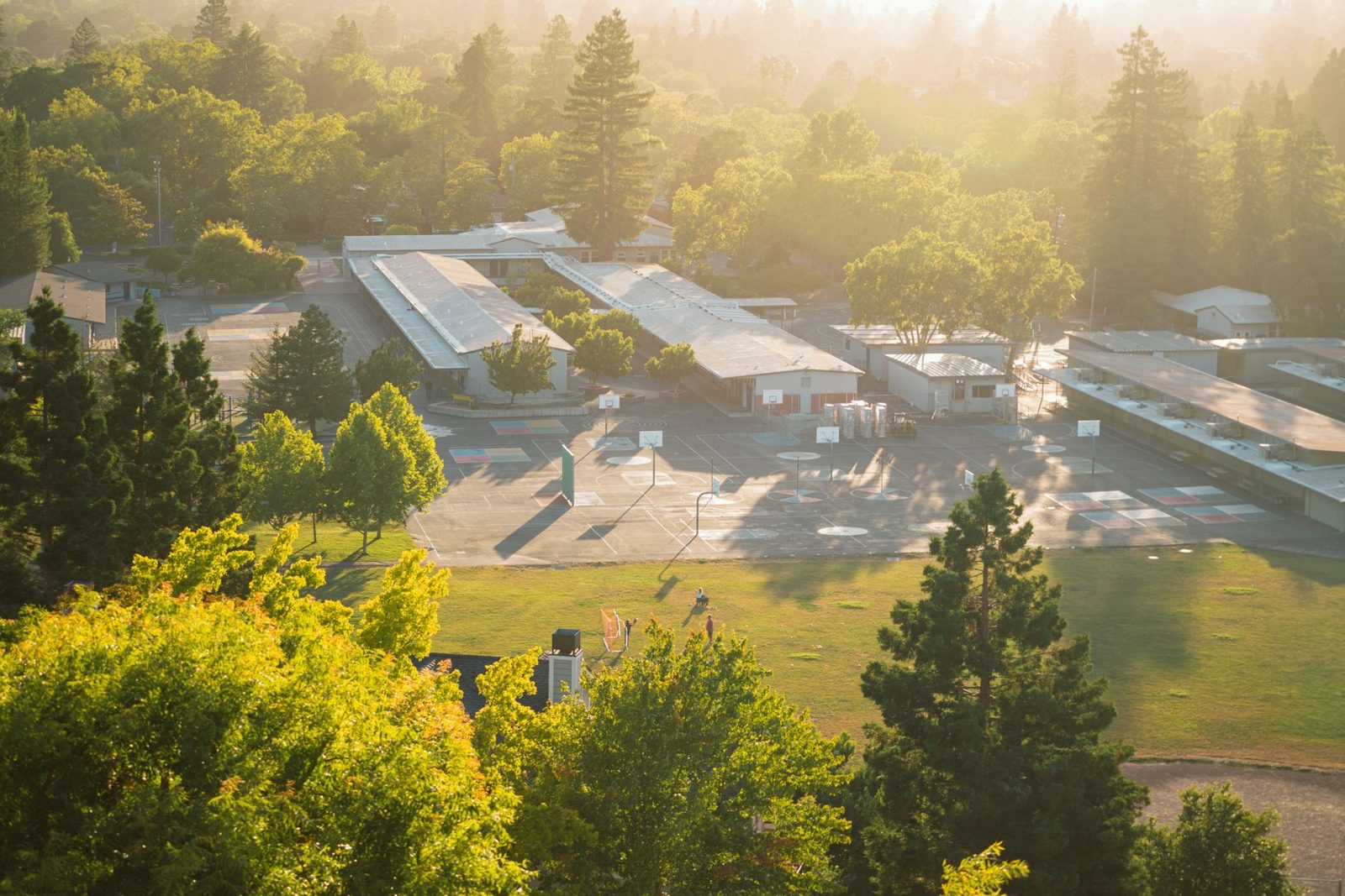 A school campus among trees from above