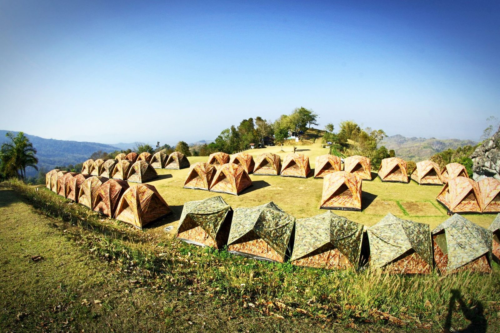 Rows of matching tents set up on a grassy field