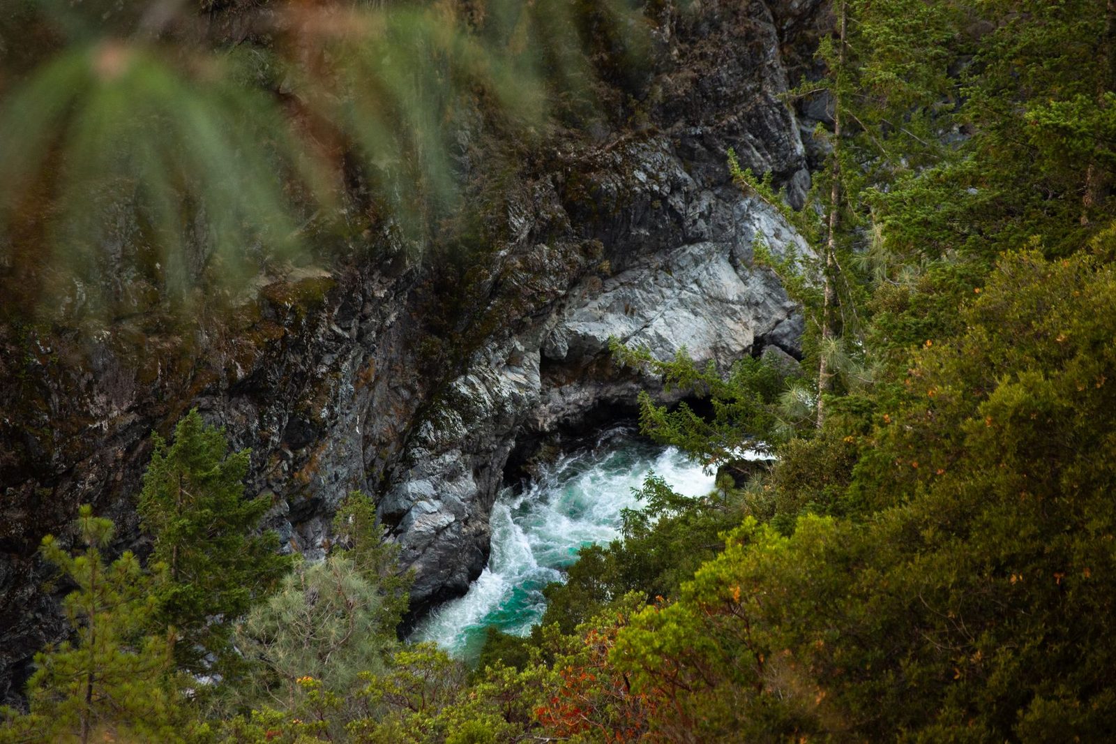 A whitewater river running through a steep forested canyon