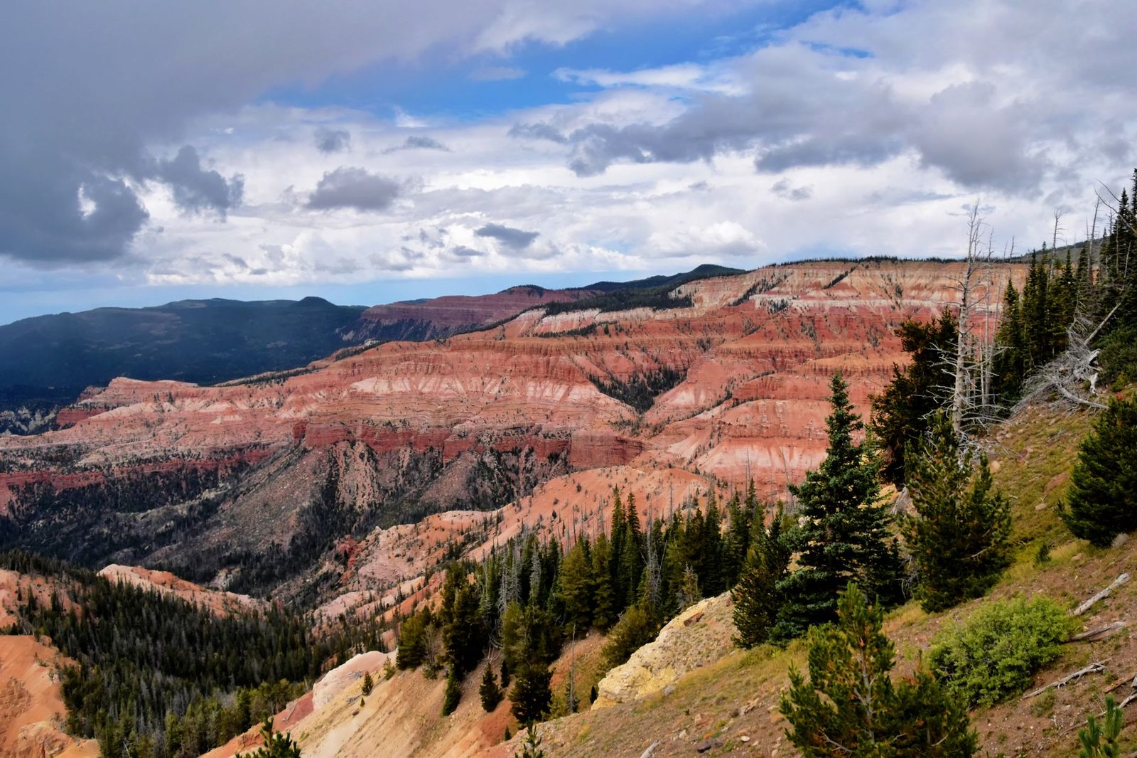 The red rock amphitheater and pine forest of Cedar Breaks near Cedar City