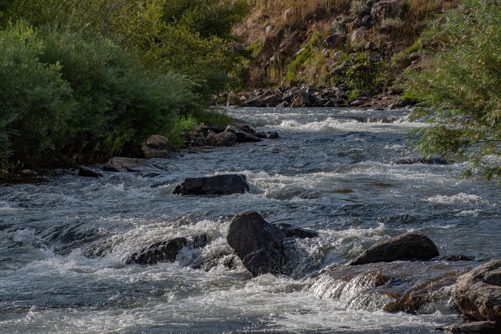 Whitewater on a Colorado river running over granite boulders