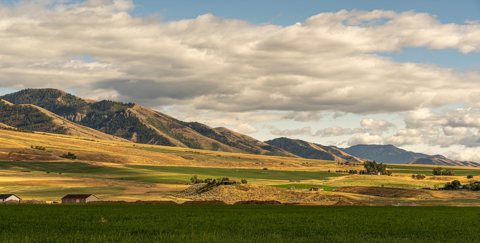 Green farm fields and foothills under white summer clouds