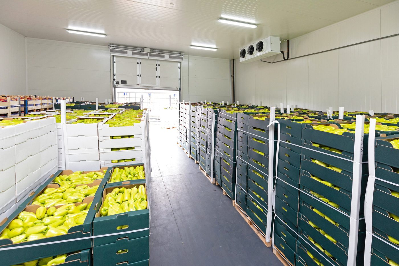 Pallets of fresh produce staged inside a walk in cooler awaiting the morning prep team