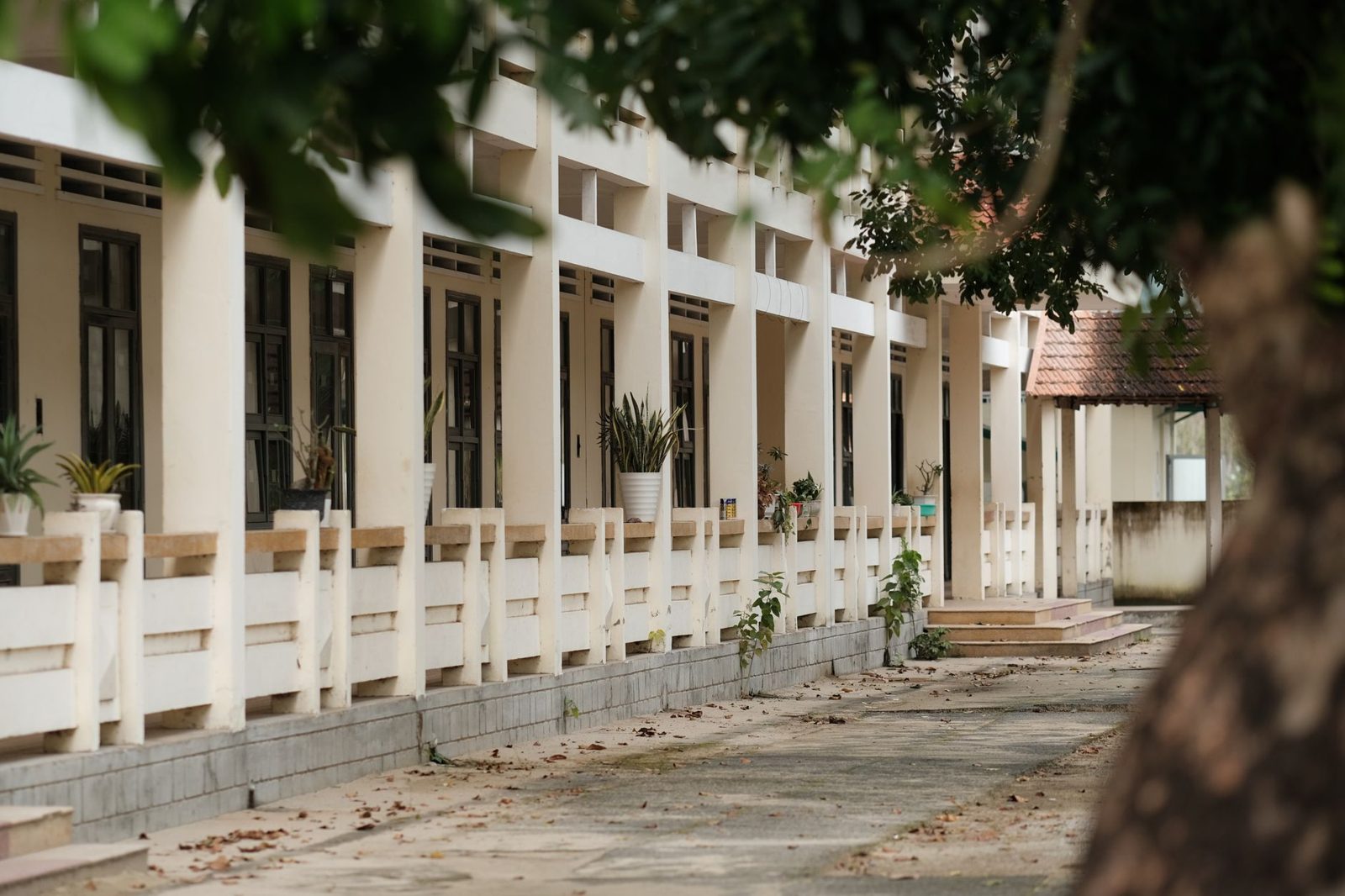 A school building with a covered walkway beside a courtyard