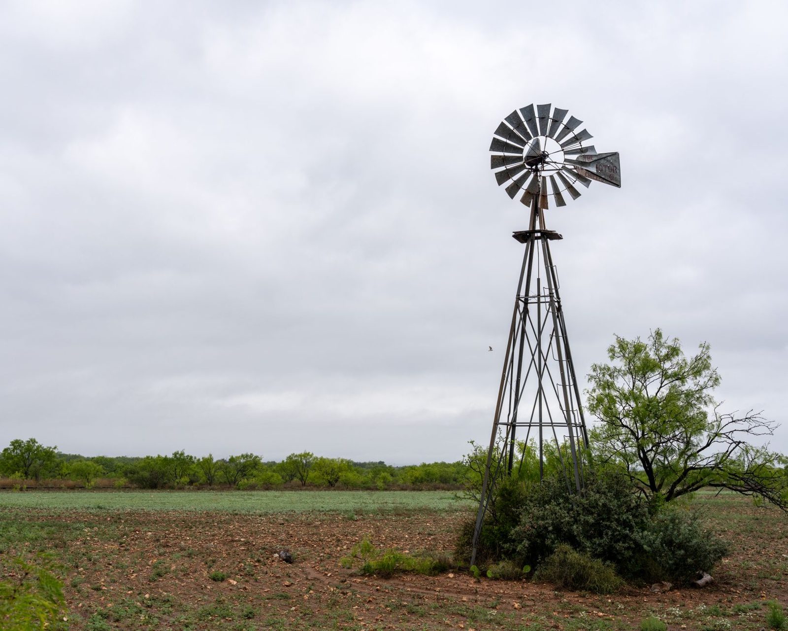 Open mesquite grassland and flat ranch country outside Abilene