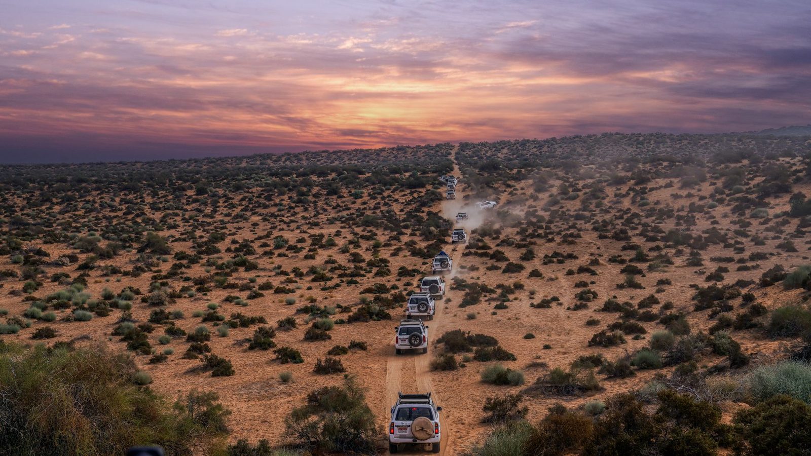 A line of vehicles driving a dirt road across open desert scrub at dusk