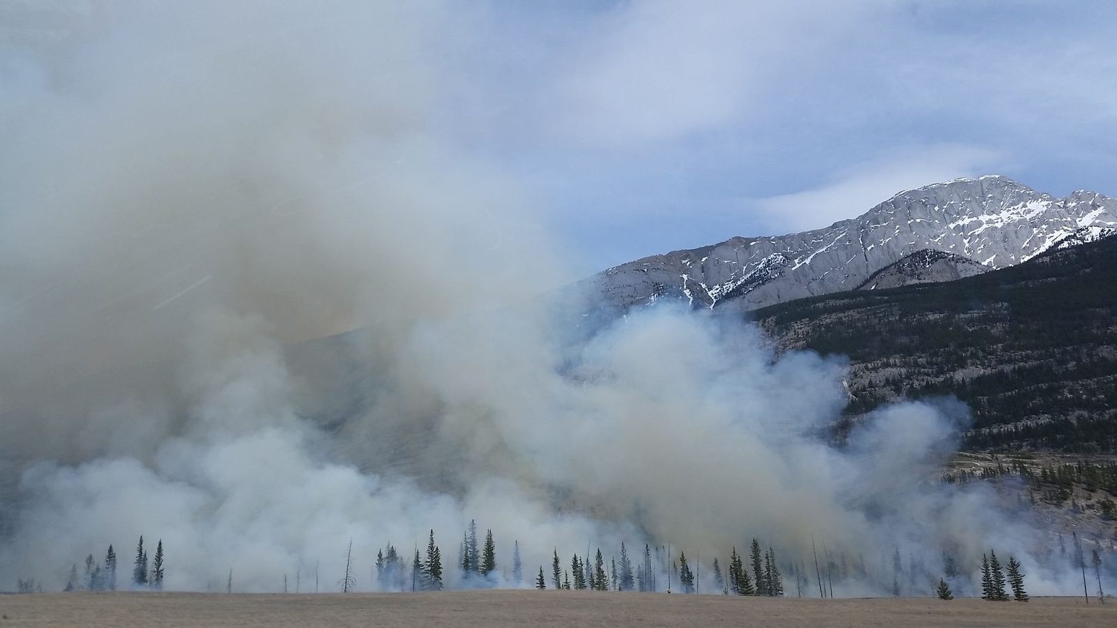 Wildfire smoke rising from a burning pine forest below snow-capped mountains