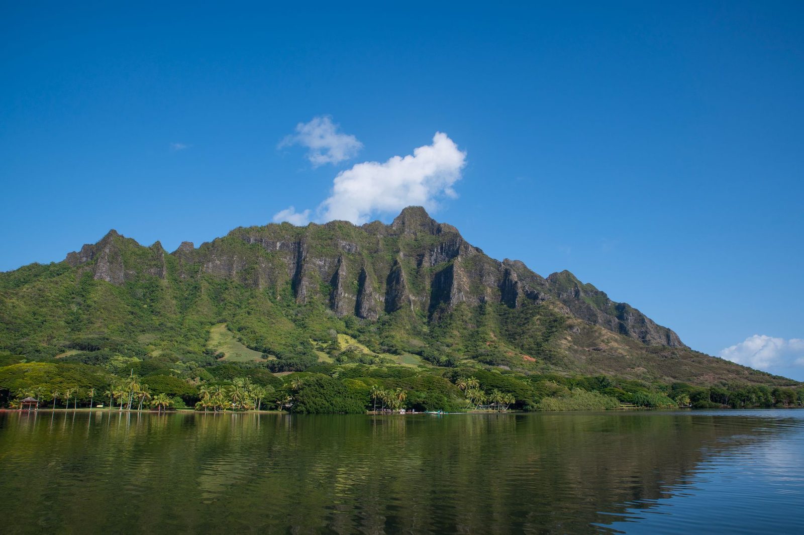 The Koolau cliffs rising over a calm windward Oahu shoreline